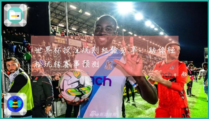 世界杯投注规则经验分享，助你轻松玩转赛事预测
