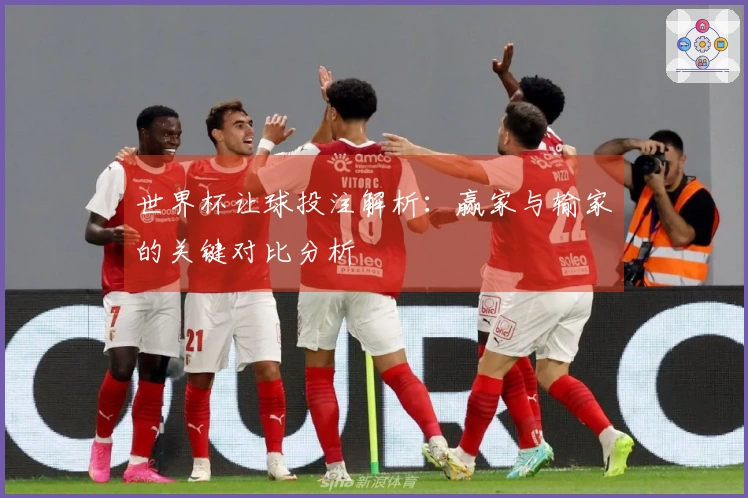 世界杯让球投注解析：赢家与输家的关键对比分析