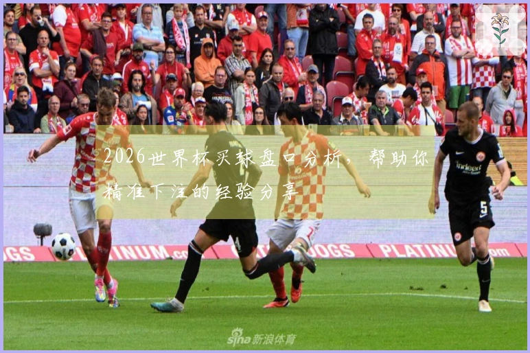 2026世界杯买球盘口分析，帮助你精准下注的经验分享