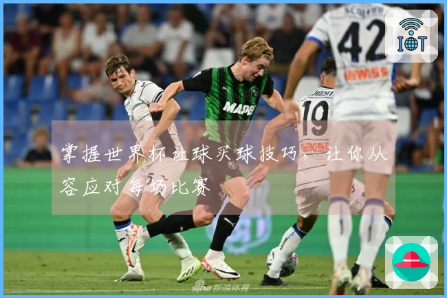 掌握世界杯让球买球技巧，让你从容应对每场比赛