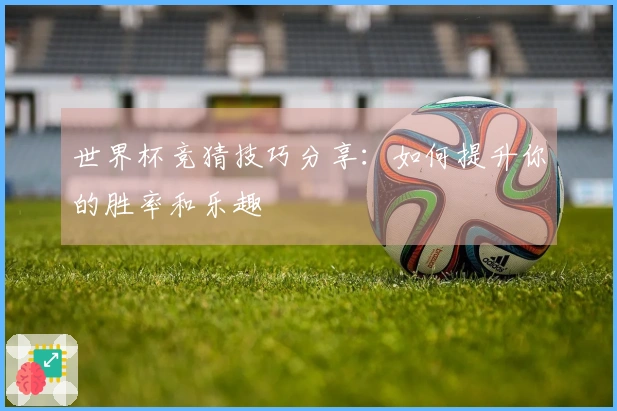 世界杯竞猜技巧分享：如何提升你的胜率和乐趣