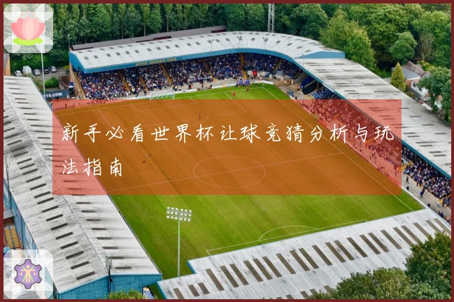新手必看世界杯让球竞猜分析与玩法指南
