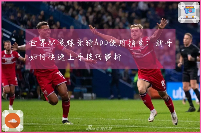 世界杯滚球竞猜App使用指南：新手如何快速上手技巧解析