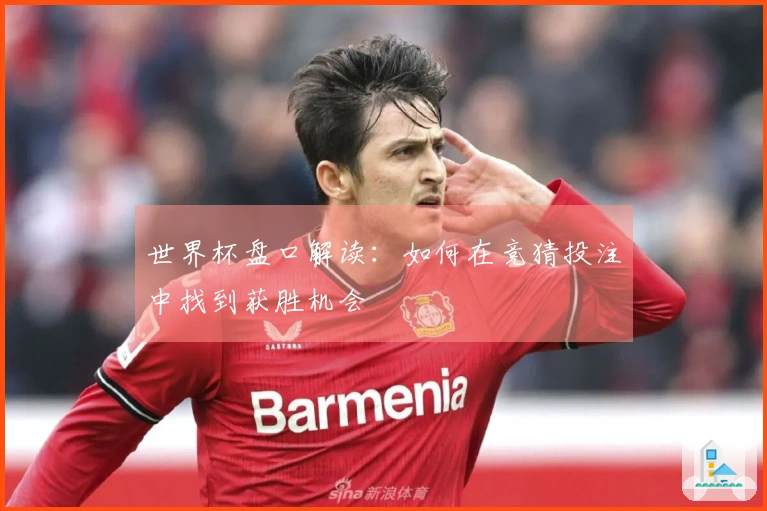 世界杯盘口解读：如何在竞猜投注中找到获胜机会