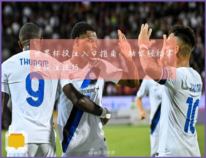 世界杯投注入口指南，助你轻松掌握投注技巧