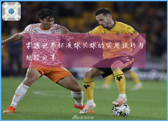 掌握世界杯滚球买球的实用技巧与经验分享