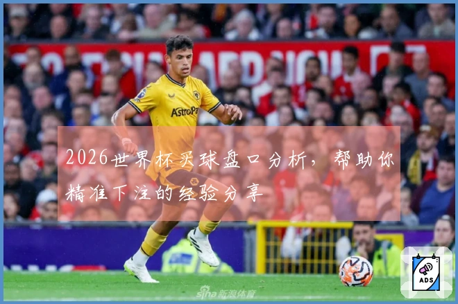 2026世界杯买球盘口分析，帮助你精准下注的经验分享