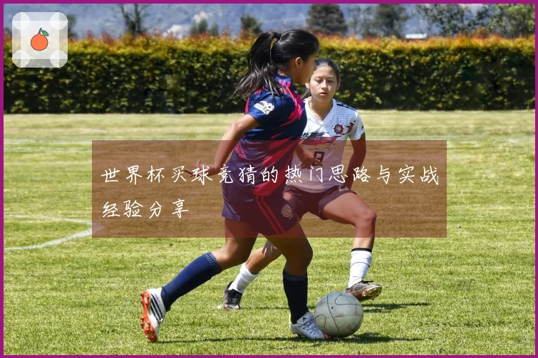 世界杯买球竞猜的热门思路与实战经验分享