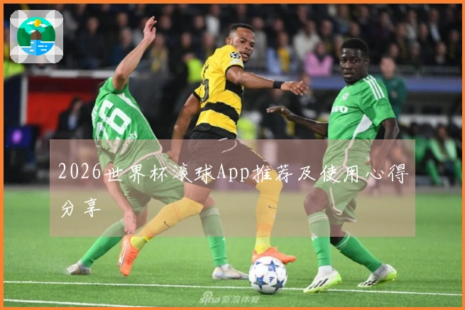2026世界杯滚球App推荐及使用心得分享