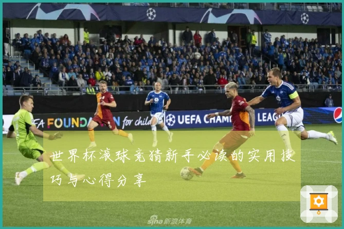 世界杯滚球竞猜新手必读的实用技巧与心得分享