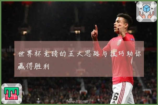 世界杯竞猜的五大思路与技巧助你赢得胜利