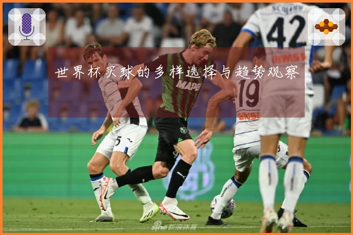 世界杯买球的多样选择与趋势观察