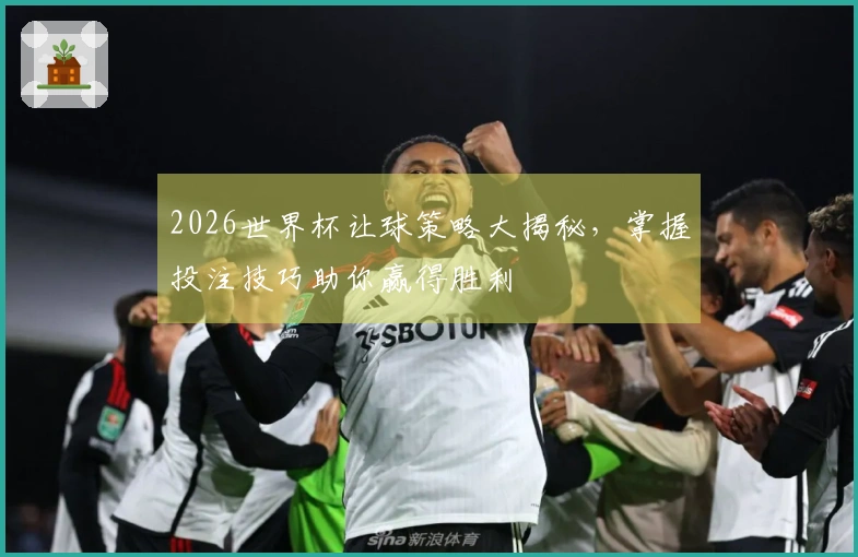 2026世界杯让球策略大揭秘，掌握投注技巧助你赢得胜利