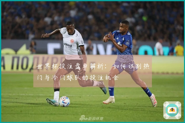 世界杯投注盘口解析：如何识别热门与冷门球队的投注机会